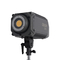 310W Coolcam 300D Luce di riempimento ad alta luminosità per fotografie e brevi video